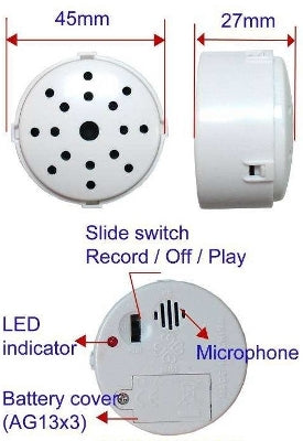 30 Second Digital recorder - BeaRegards