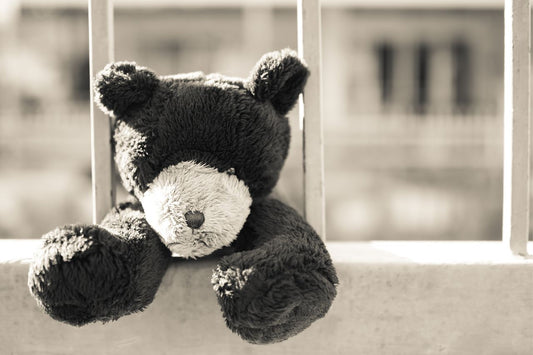 Black and White Teddy Bears as Gifts