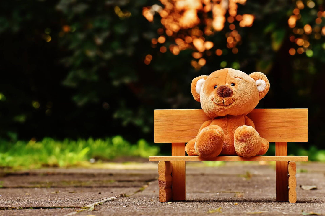 The Evolution of Teddy Bears: From Classic Toys to Recordable Companions
