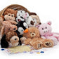 MAKE YOUR OWN STUFFED ANIMAL PARTY. 10 LARGE 15 INCH ASSORTED PLUSH UNSTUFFED ANIMAL KITS
