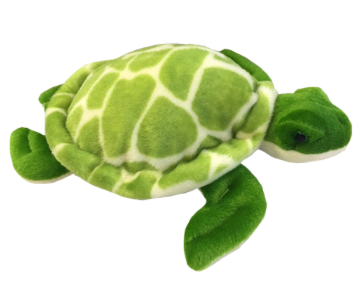 8 inch Recordable Green Sea Turtle - BeaRegards