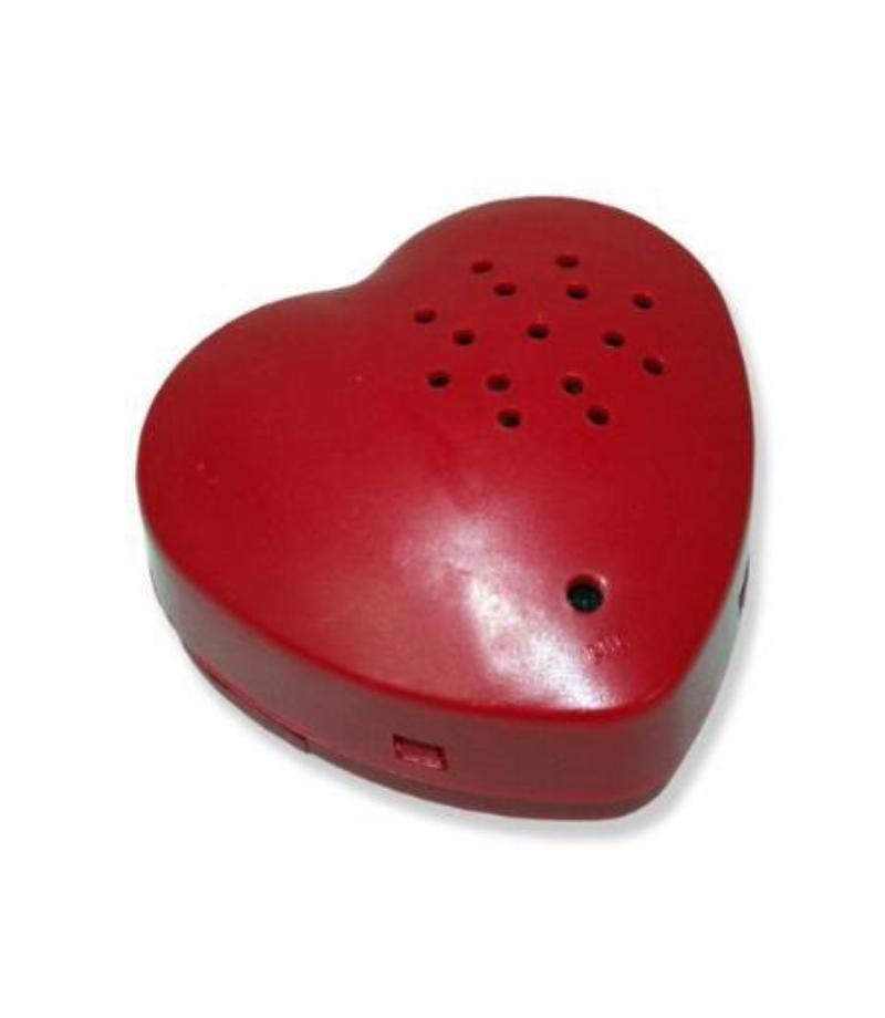 UPGRADE to 30 second HEART SHAPED plush toy voice recorder (Available for purchase only when accompanying any recordable animal purchase) - BeaRegards